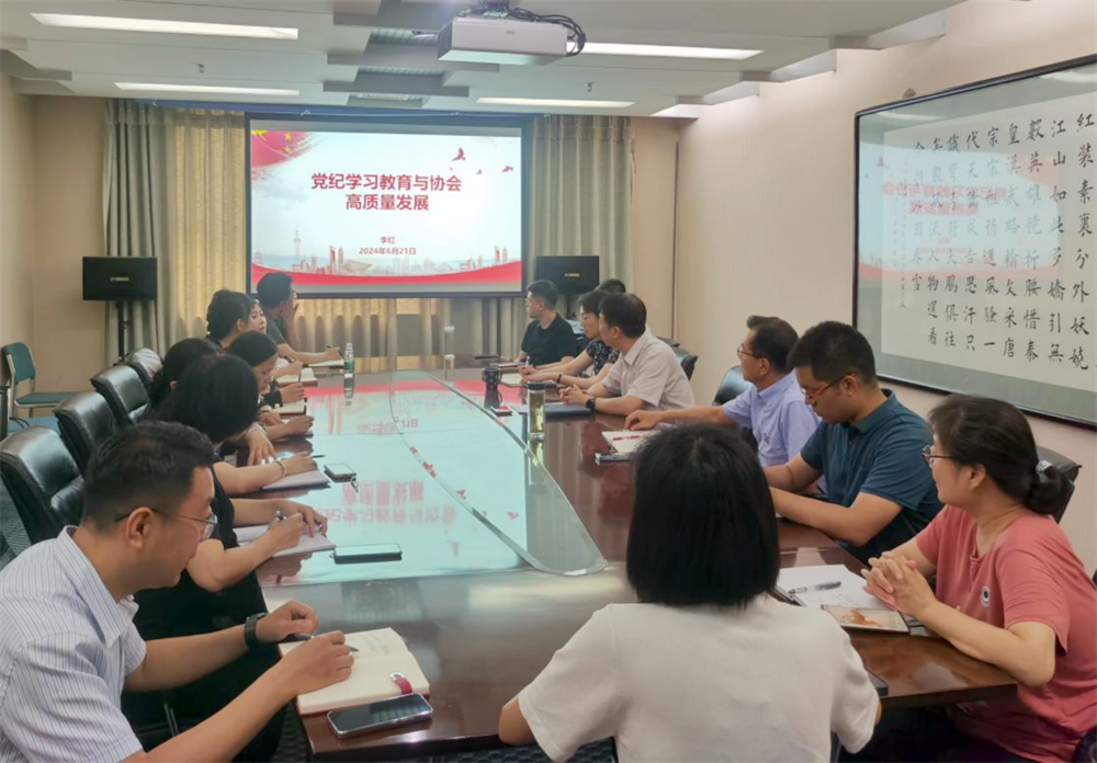 中國信息協會黨支部開展書記講專題黨課---黨紀學習教育與協會高質量發展